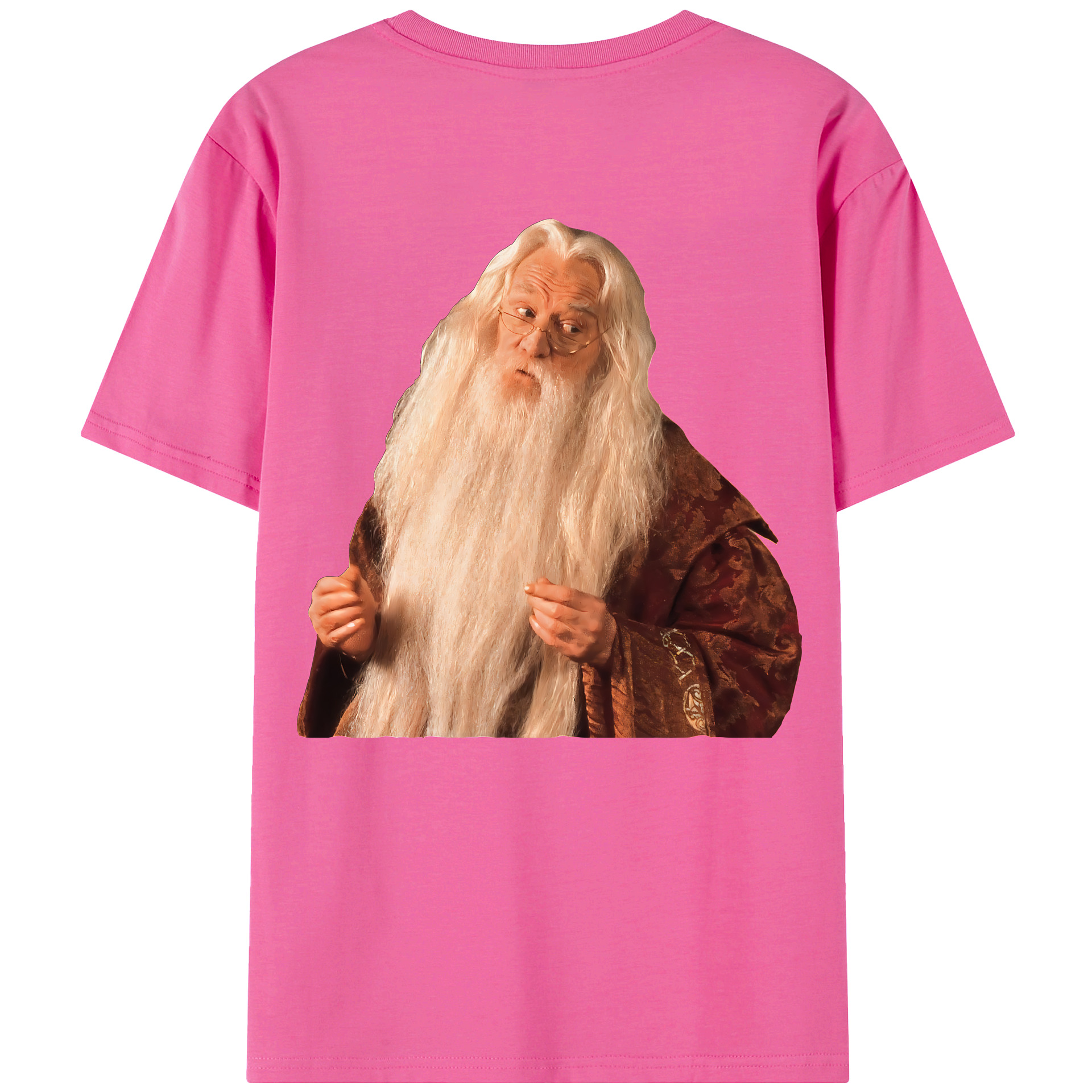 （画像用） Harry Potter ハリー・ポッターシリーズ レディース半袖Tシャツ(バックプリント)